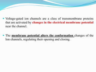  Voltage-gated ion channels are a class of transmembrane proteins
that are activated by changes in the electrical membrane potential
near the channel.
 The membrane potential alters the conformation changes of the
Ion channels, regulating their opening and closing.
 