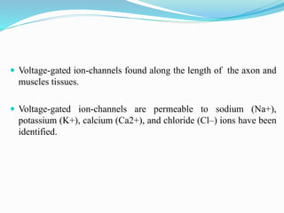  Voltage-gated ion-channels found along the length of the axon and
muscles tissues.
 Voltage-gated ion-channels are permeable to sodium (Na+),
potassium (K+), calcium (Ca2+), and chloride (Cl–) ions have been
identified.
 