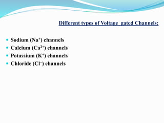 Different types of Voltage gated Channels:
 Sodium (Na+) channels
 Calcium (Ca2+) channels
 Potassium (K+) channels
 Chloride (Cl−) channels
 