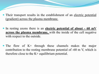  Their transport results in the establishment of an electric potential
(gradient) across the plasma membrane.
 In resting axons there is an electric potential of about - 60 mV
across the plasma membrane, with the inside of the cell negative
with respect to the outside.
 The flow of K+ through these channels makes the major
contribution to the resting membrane potential of -60 m V, which is
therefore close to the K+ equilibrium potential.
 