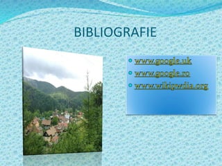 BIBLIOGRAFIE
 