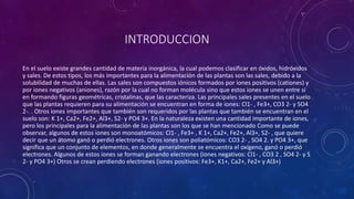 INTRODUCCION
En el suelo existe grandes cantidad de materia inorgánica, la cual podemos clasificar en óxidos, hidróxidos
y sales. De estos tipos, los más importantes para la alimentación de las plantas son las sales, debido a la
solubilidad de muchas de ellas. Las sales son compuestos iónicos formados por iones positivos (cationes) y
por iones negativos (aniones), razón por la cual no forman molécula sino que estos iones se unen entre sí
en formando figuras geométricas, cristalinas, que las caracteriza. Las principales sales presentes en el suelo
que las plantas requieren para su alimentación se encuentran en forma de iones: Cl1- , Fe3+, CO3 2- y SO4
2-. . Otros iones importantes que también son requeridos por las plantas que también se encuentran en el
suelo son: K 1+, Ca2+, Fe2+, Al3+, S2- y PO4 3+. En la naturaleza existen una cantidad importante de iones,
pero los principales para la alimentación de las plantas son los que se han mencionado Como se puede
observar, algunos de estos iones son monoatómicos: Cl1- , Fe3+ , K 1+, Ca2+, Fe2+, Al3+, S2- , que quiere
decir que un átomo ganó o perdió electrones. Otros iones son poliatómicos: CO3 2- , SO4 2. y PO4 3+, que
significa que un conjunto de elementos, en donde generalmente se encuentra el oxígeno, ganó o perdió
electrones. Algunos de estos iones se forman ganando electrones (iones negativos: Cl1- , CO3 2 , SO4 2- y S
2- y PO4 3+) Otros se crean perdiendo electrones (iones positivos: Fe3+, K1+, Ca2+, Fe2+ y Al3+)
 