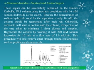 A.Monosaccharides—Neutral and Amino Sugars
These sugars can be successfully separated on the Dionex
CarboPac PA1 column using isocratic conditions with 16 mM
sodium hydroxide as the eluent. Because the concentration of
sodium hydroxide used for the separation is only 16 mM, the
column should be regenerated after each run. Otherwise,
carbonate will start to contaminate the column, irrespective of
the care taken to eliminate it from eluents and samples.
Regenerate the column by washing it with 200 mM sodium
hydroxide for 10 min at a flow rate of 1.0 mL/min. This
procedure will also remove other strongly bound contaminants
such as peptides and amino acids.
Separation of neutral and amino monosaccharides derived from glycoproteins
 