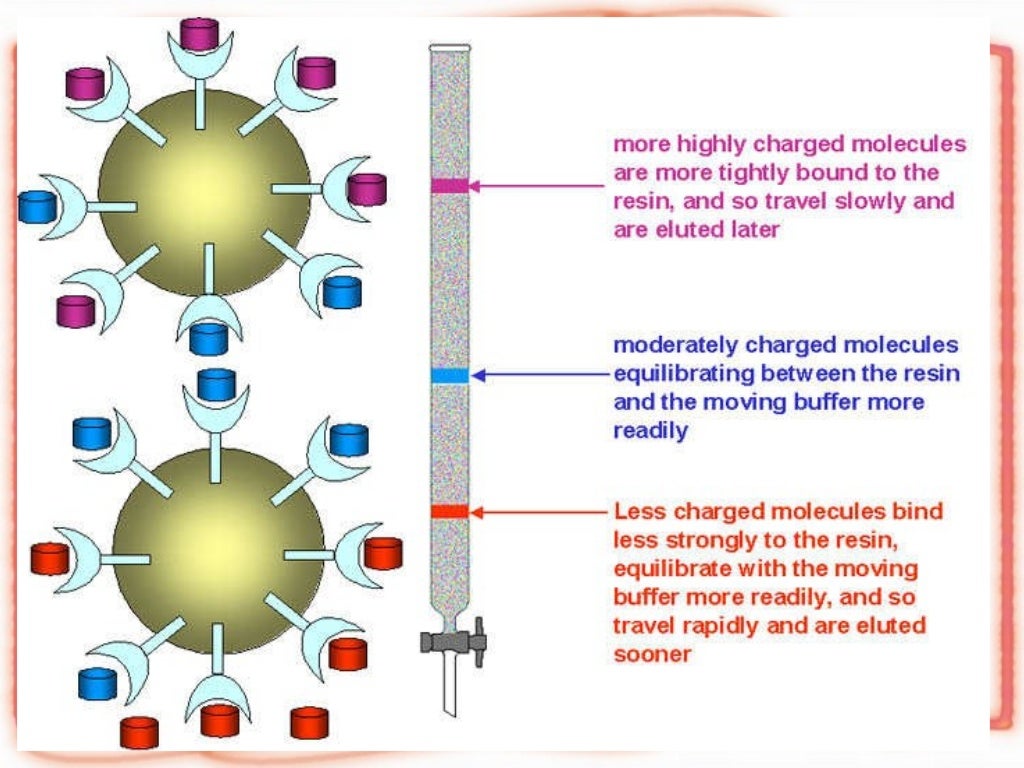 Ion Exchange Chromatography, ppt