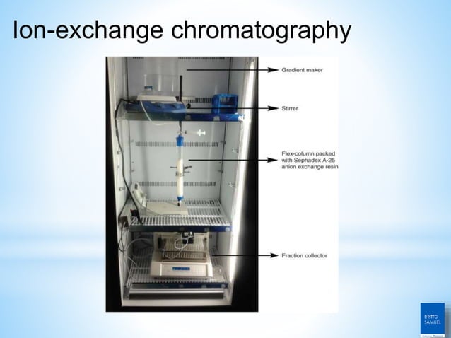 Ion exchange chromatography and affinity chromatography | PPTX