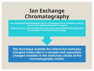 Comprehensive Overview of Ion Exchange Chromatography Techniques and ...