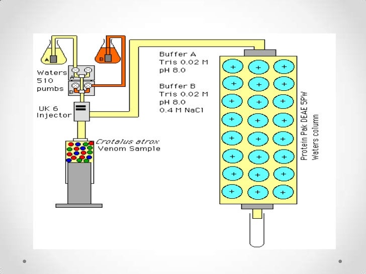 Ion exchange chromatography ion exchange resin diagram 