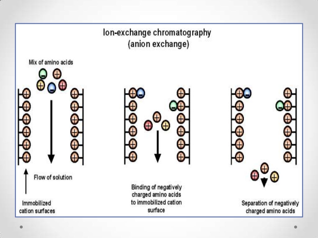 Ion exchange chromatography