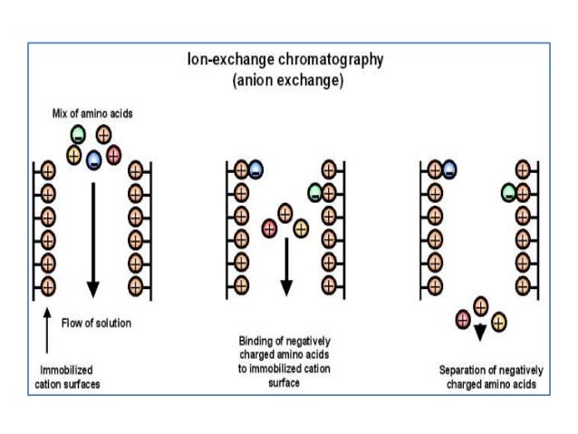 ion exchange chromatography ion exchange chromatography