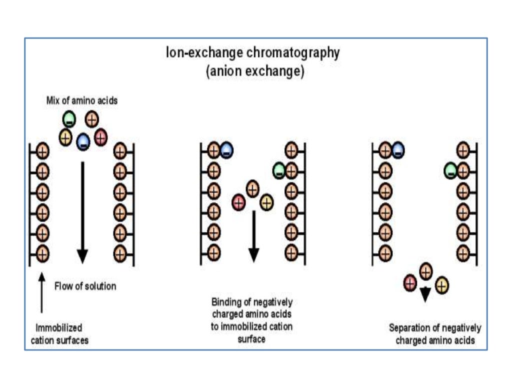 Ion exchange chromatography