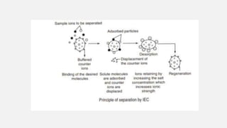 Ion exchange chromatography | PPTX