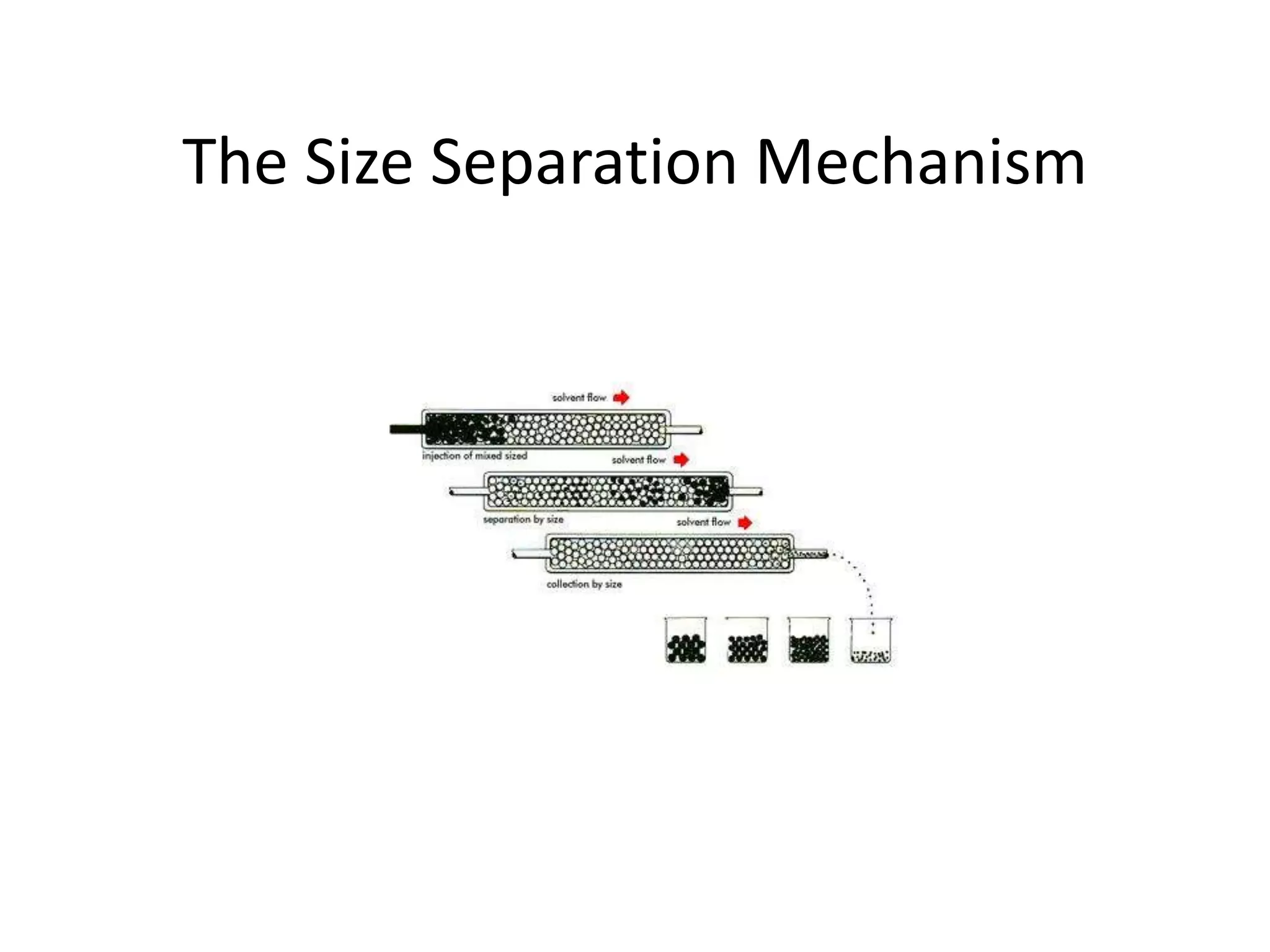 The Size Separation Mechanism 
 