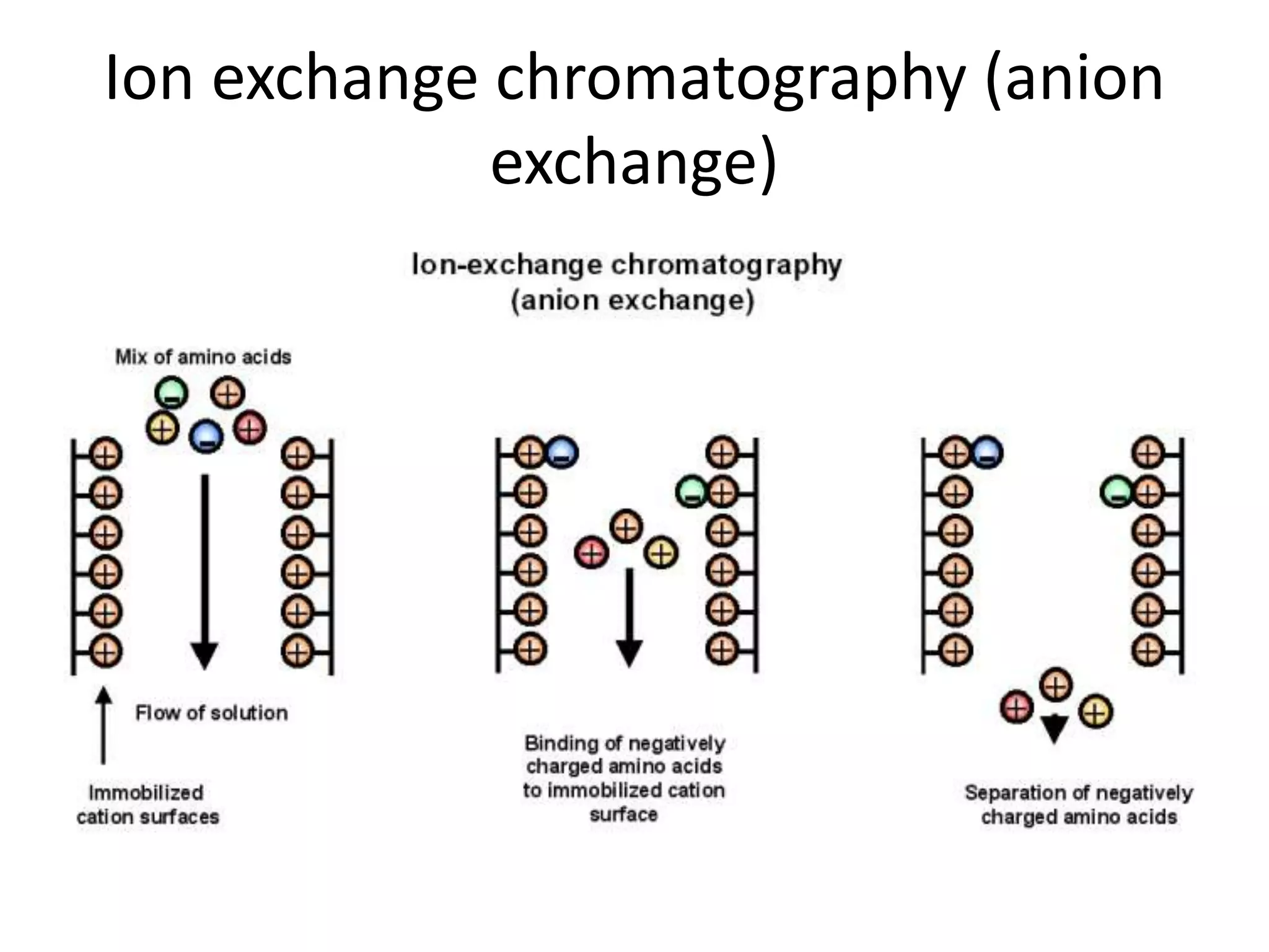Ion exchange chromatography (anion 
exchange) 
 
