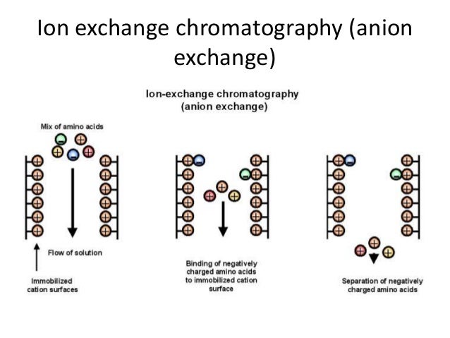 ion exchange chromatography