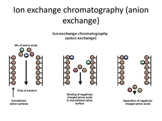 Ion exchange chromatography and gec | PPTX
