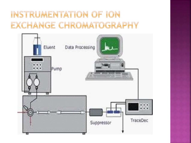 Ion exchange chromatography | PPT