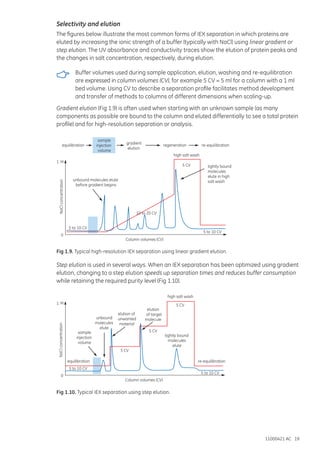 Ion_Exchange_Chromatography_Handbook.pdf