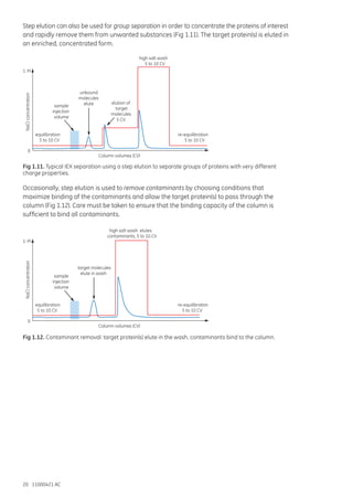 Ion_Exchange_Chromatography_Handbook.pdf