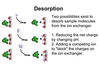 Desorption 
Two possibilities exist to 
desorb sample molecules 
from the ion exchanger: 
1. Reducing the net charge 
by changing pH. 
2. Adding a competing ion 
to "block" the charges on 
the ion exchanger. 
 