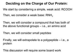 Deciding on the Charge of Our Protein: 
We start by considering a simple, weak acid: RCOOH 
Then, we consider a weak base: RNH2 
Then, we will consider a compound that has both of 
the above functional groups – i.e., an amino acid 
Then, we will consider small peptides 
Finally, we will extrapolate to a polypeptide – i.e., a 
protein 
This discussion will require some board work 
 