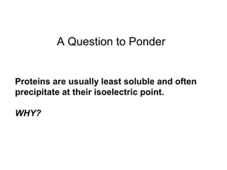 A Question to Ponder 
Proteins are usually least soluble and often 
precipitate at their isoelectric point. 
WHY? 
 