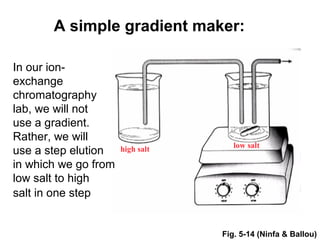 A simple gradient maker: 
high salt low salt 
Fig. 5-14 (Ninfa & Ballou) 
In our ion-exchange 
chromatography 
lab, we will not 
use a gradient. 
Rather, we will 
use a step elution 
in which we go from 
low salt to high 
salt in one step 
 