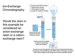 Ion-Exchange 
Chromatography 
Would the resin in 
this example be 
considered an 
anion-exchange 
resin or a cation-exchange 
resin? 
 