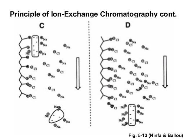 Image Result For Hair Dryer Schematic