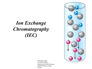 Ion Exchange
Chromatography
(IEC)
Amandeep Singh
Assistant Professor,
Department of Biotechnology,
GSSDGS Khalsa College,
Patiala.
 