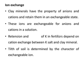 Ion exchange phenomena in clay minerals.pptx
