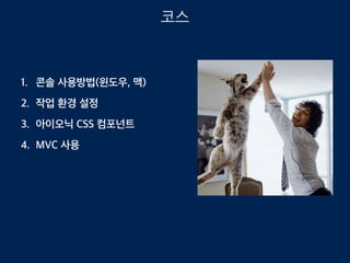 1. 콘솔 사용방법(윈도우, 맥)
2. 작업 환경 설정
3. 아이오닉 CSS 컴포넌트
4. MVC 사용
코스
 