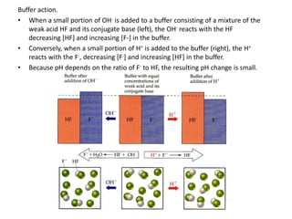 Buffer action.
• When a small portion of OH- is added to a buffer consisting of a mixture of the
    weak acid HF and its conjugate base (left), the OH- reacts with the HF
    decreasing [HF] and increasing [F-] in the buffer.
• Conversely, when a small portion of H+ is added to the buffer (right), the H+
    reacts with the F-, decreasing [F-] and increasing [HF] in the buffer.
• Because pH depends on the ratio of F- to HF, the resulting pH change is small.
 