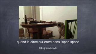quand le directeur entre dans l'open space
© lesjoiesducode
 