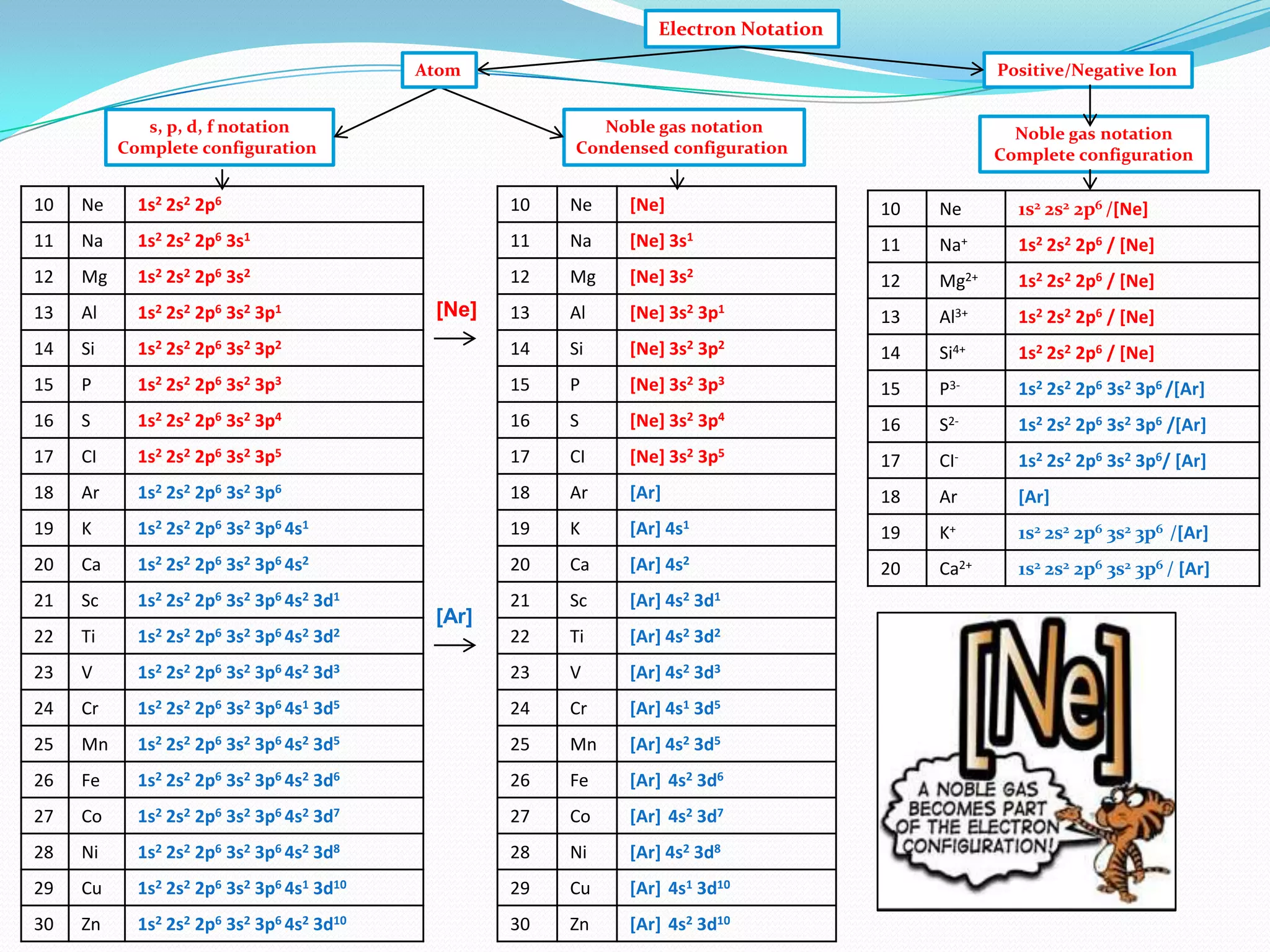 Electron Notation
Atom

Positive/Negative Ion

s, p, d, f notation
Complete configuration

Noble gas notation
Condensed configuration

Noble gas notation
Complete configuration

10

Ne

1s2 2s2 2p6

10

Ne

[Ne]

10

Ne

1s2 2s2 2p6 /[Ne]

11

Na

1s2 2s2 2p6 3s1

11

Na

[Ne] 3s1

11

Na+

1s2 2s2 2p6 / [Ne]

12

Mg

1s2 2s2 2p6 3s2

12

Mg

[Ne] 3s2

12

Mg2+

1s2 2s2 2p6 / [Ne]

13

Al

1s2 2s2 2p6 3s2 3p1

13

Al

[Ne] 3s2 3p1

13

Al3+

1s2 2s2 2p6 / [Ne]

14

Si

1s2 2s2 2p6 3s2 3p2

14

Si

[Ne] 3s2 3p2

14

Si4+

1s2 2s2 2p6 / [Ne]

15

P

1s2 2s2 2p6 3s2 3p3

15

P

[Ne] 3s2 3p3

15

P3-

1s2 2s2 2p6 3s2 3p6 /[Ar]

16

S

1s2 2s2 2p6 3s2 3p4

16

S

[Ne] 3s2 3p4

16

S2-

1s2 2s2 2p6 3s2 3p6 /[Ar]

17

CI

1s2 2s2 2p6 3s2 3p5

17

CI

[Ne] 3s2 3p5

17

CI-

1s2 2s2 2p6 3s2 3p6/ [Ar]

18

Ar

1s2 2s2 2p6 3s2 3p6

18

Ar

[Ar]

19

[Ne]

18

Ar

[Ar]

K

[Ar]

4s1

19

K+

1s2 2s2 2p6 3s2 3p6 /[Ar]

20

Ca

[Ar] 4s2

20

Ca2+

1s2 2s2 2p6 3s2 3p6 / [Ar]

21

Sc

[Ar] 4s2 3d1

22

Ti

[Ar] 4s2 3d2

1s2 2s2 2p6 3s2 3p6 4s2 3d3

23

V

[Ar] 4s2 3d3

Cr

1s2 2s2 2p6 3s2 3p6 4s1 3d5

24

Cr

[Ar] 4s1 3d5

25

Mn

1s2 2s2 2p6 3s2 3p6 4s2 3d5

25

Mn

[Ar] 4s2 3d5

26

Fe

1s2 2s2 2p6 3s2 3p6 4s2 3d6

26

Fe

[Ar] 4s2 3d6

27

Co

1s2 2s2 2p6 3s2 3p6 4s2 3d7

27

Co

[Ar] 4s2 3d7

28

Ni

1s2 2s2 2p6 3s2 3p6 4s2 3d8

28

Ni

[Ar] 4s2 3d8

29

Cu

1s2 2s2 2p6 3s2 3p6 4s1 3d10

29

Cu

[Ar] 4s1 3d10

30

Zn

1s2 2s2 2p6 3s2 3p6 4s2 3d10

30

Zn

[Ar] 4s2 3d10

K

1s2

2s2

2p6

3s2

3p6 4s1

19

20

Ca

1s2 2s2 2p6 3s2 3p6 4s2

21

Sc

1s2 2s2 2p6 3s2 3p6 4s2 3d1

22

Ti

1s2 2s2 2p6 3s2 3p6 4s2 3d2

23

V

24

[Ar]

 