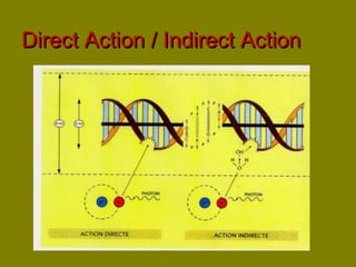 DDiirreecctt AAccttiioonn // IInnddiirreecctt AAccttiioonn 
 