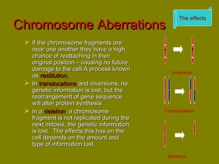 CChhrroommoossoommee AAbbeerrrraattiioonnss 
 IIff tthhee cchhrroommoossoommee ffrraaggmmeennttss aarree 
nneeaarr oonnee aannootthheerr tthheeyy hhaavvee aa hhiigghh 
cchhaannccee ooff rreeaattttaacchhiinngg iinn tthheeiirr 
oorriiggiinnaall ppoossiittiioonn –– ccaauussiinngg nnoo ffuuttuurree 
ddaammaaggee ttoo tthhee cceellll..AA pprroocceessss kknnoowwnn 
aass rreessttiittuuttiioonn.. 
 IInn ttrraannssllooccaattiioonnss aanndd iinnvveerrssiioonnss,, nnoo 
ggeenneettiicc iinnffoorrmmaattiioonn iiss lloosstt,, bbuutt tthhee 
rreeaarrrraannggeemmeenntt ooff ggeennee sseeqquueennccee 
wwiillll aalltteerr pprrootteeiinn ssyynntthheessiiss.. 
 IInn aa ddeelleettiioonn,, aa cchhrroommoossoommee 
ffrraaggmmeenntt iiss nnoott rreepplliiccaatteedd dduurriinngg tthhee 
nneexxtt mmiittoossiiss,, tthhee ggeenneettiicc iinnffoorrmmaattiioonn 
iiss lloosstt.. TThhee eeffffeeccttss tthhiiss hhaass oonn tthhee 
cceellll ddeeppeennddss oonn tthhee aammoouunntt aanndd 
ttyyppee ooff iinnffoorrmmaattiioonn lloosstt.. 
The effects 
Inversion 
Translocation 
Deletion 
 