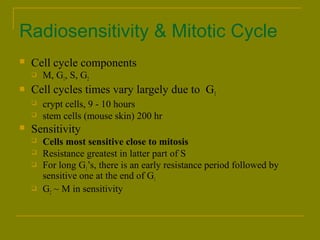 Radiosensitivity & Mitotic Cycle 
 Cell cycle components 
 M, G1, S, G2 
 Cell cycles times vary largely due to G1 
 crypt cells, 9 - 10 hours 
 stem cells (mouse skin) 200 hr 
 Sensitivity 
 Cells most sensitive close to mitosis 
 Resistance greatest in latter part of S 
 For long G1’s, there is an early resistance period followed by 
sensitive one at the end of G1 
 G2 ~ M in sensitivity 
 