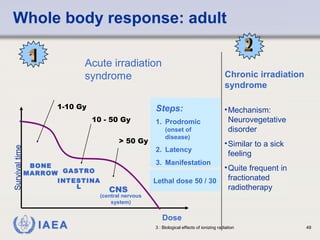 Whole body response: adult 
Acute irradiation 
syndrome Chronic irradiation 
syndrome 
Steps: 
1. Prodromic 
(onset of 
disease) 
2. Latency 
3. Manifestation 
Lethal dose 50 / 30 
IAEA 3 : Biological effects of ionizing radiation 49 
Survival time 
Dose 
BONE 
MARROW GASTRO 
INTESTINA 
L CNS 
(central nervous 
system) 
1-10 Gy 
10 - 50 Gy 
> 50 Gy 
•Mechanism: 
Neurovegetative 
disorder 
•Similar to a sick 
feeling 
•Quite frequent in 
fractionated 
radiotherapy 
 