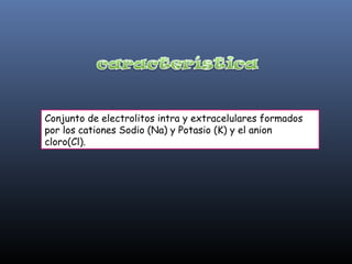 Conjunto de electrolitos intra y extracelulares formados
por los cationes Sodio (Na) y Potasio (K) y el anion
cloro(Cl).
 
