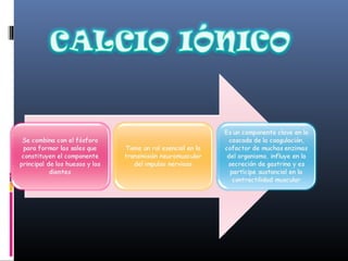 Ionograma dra carmen v