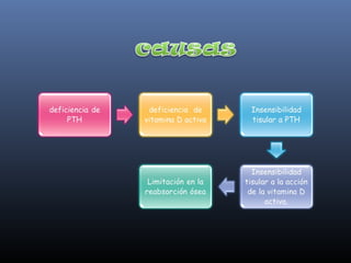 Ionograma dra carmen v