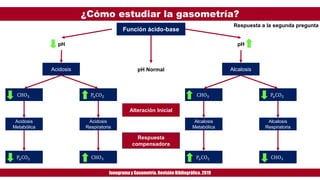 ¿Cómo estudiar la gasometría?
Ionogramay Gasometría. Revisión Bibliográfica. 2019
Respuesta a la segunda pregunta
Función ácido-base
Acidosis
PaCO2CHO3
Acidosis
Respiratoria
Acidosis
Metabólica
PaCO2 CHO3
Alcalosis
PaCO2CHO3
Alcalosis
Respiratoria
Alcalosis
Metabólica
PaCO2 CHO3
Respuesta
compensadora
Alteración Inicial
pH pH
pH Normal
 