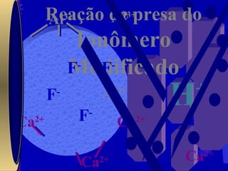 Ca 2+ Ca 2+ Ca 2+ Ca 2+ Al 3+ Al 3+ H + Al 3+ Reação de presa do  Ionômero Modificado F - F - F - F - 