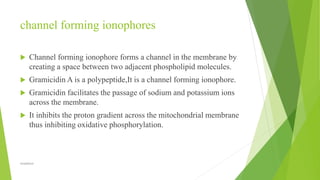 Ionophores