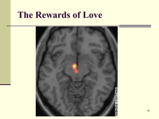 The Rewards of Love 