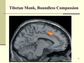 Tibetan Monk, Boundless Compassion 
