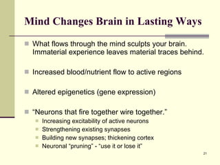 Mind Changes Brain in Lasting Ways   What flows through the mind sculpts your brain. Immaterial experience leaves material traces behind.  Increased blood/nutrient flow to active regions Altered epigenetics (gene expression) “ Neurons that fire together wire together.” Increasing excitability of active neurons Strengthening existing synapses Building new synapses; thickening cortex Neuronal “pruning” - “use it or lose it” 