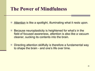 The Power of Mindfulness Attention  is like a spotlight, illuminating what it rests upon. Because neuroplasticity is heightened for what’s in the field of focused awareness, attention is also like a vacuum cleaner, sucking its contents into the brain. Directing attention skillfully is therefore a fundamental way to shape the brain - and one’s life over time. 