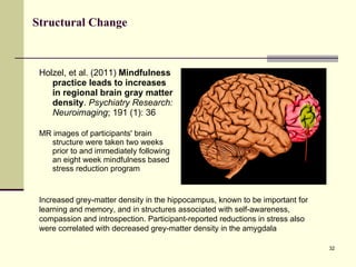 Structural Change Holzel, et al. (2011)  Mindfulness practice leads to increases in regional brain gray matter density .  Psychiatry Research: Neuroimaging ; 191 (1): 36 MR images of participants' brain structure were taken two weeks prior to and immediately following an eight week mindfulness based stress reduction program Increased grey-matter density in the hippocampus, known to be important for learning and memory, and in structures associated with self-awareness, compassion and introspection. Participant-reported reductions in stress also were correlated with decreased grey-matter density in the amygdala 