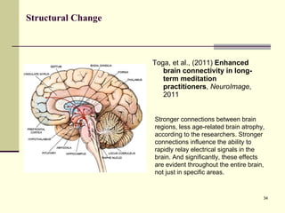 Structural Change Toga, et al., (2011)  Enhanced brain connectivity in long-term meditation practitioners ,  NeuroImage , 2011 Stronger connections between brain regions, less age-related brain atrophy, according to the researchers. Stronger connections influence the ability to rapidly relay electrical signals in the brain. And significantly, these effects are evident throughout the entire brain, not just in specific areas. 